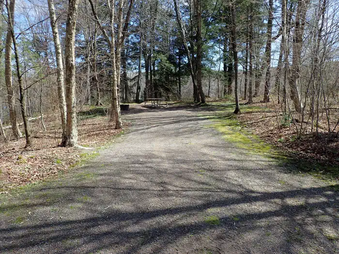 West Point Recreation Area — Westpoint Campground site 9