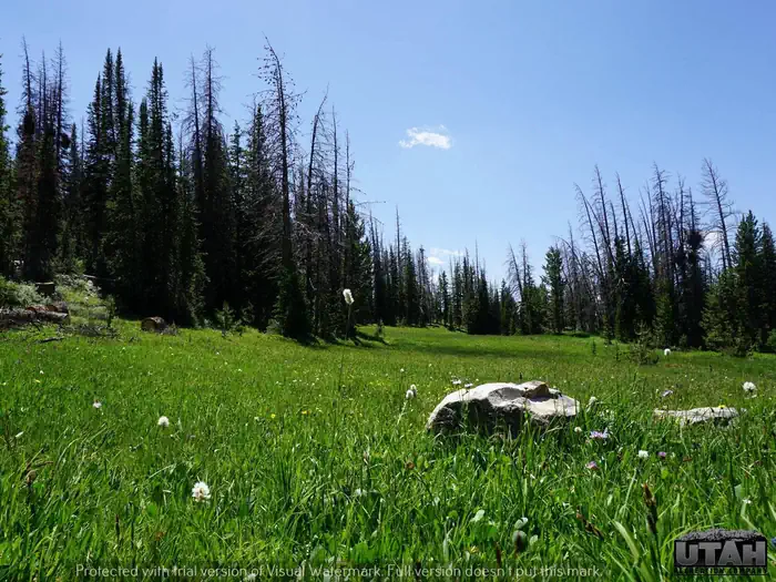 Lost Creek Campground — LOST CREEK CAMPGROUND