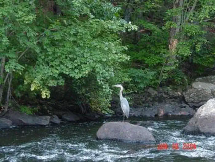 Westville Recreation Area — WESTVILLE RECREATION AREA