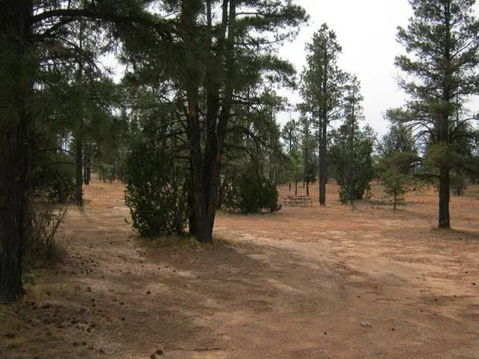 Elks Group Campground — Elks Group Campground