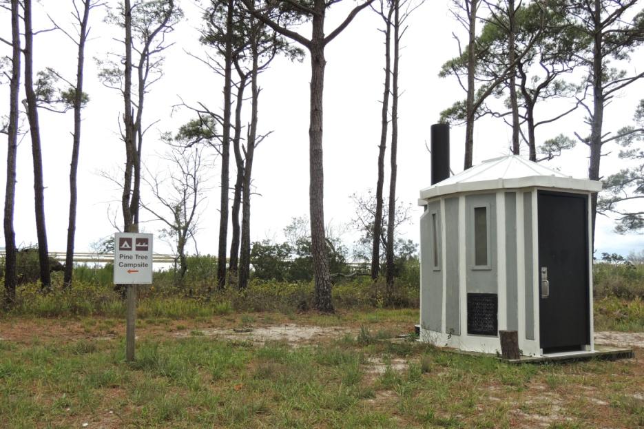 Back Country Camping - Pine Tree — Pine Tree Restroom
