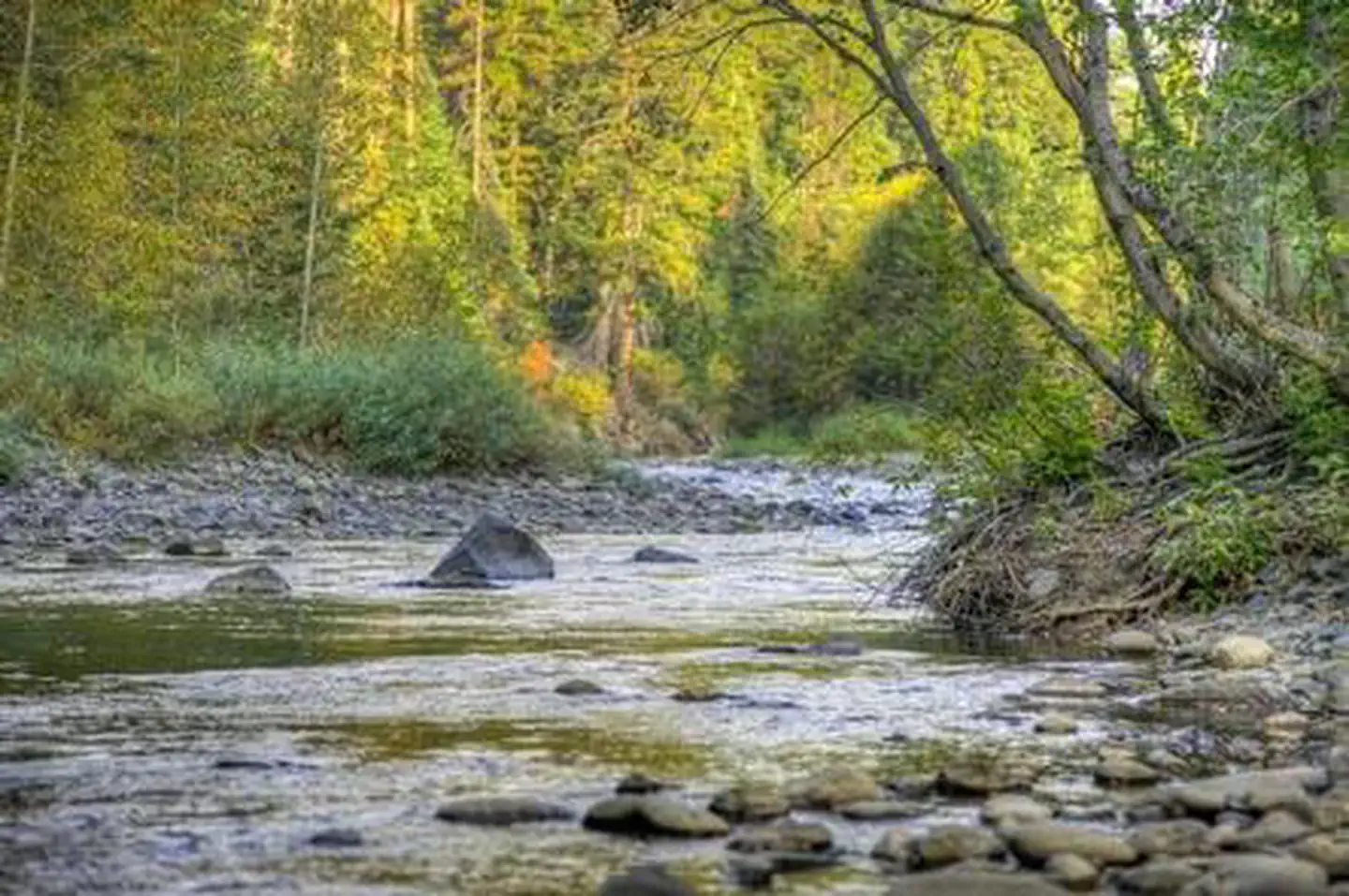 Little Naches Campground — Little Naches Campground