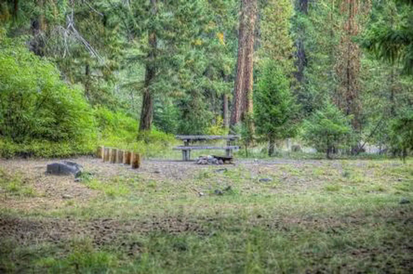 Little Naches Campground — Little Naches Campground