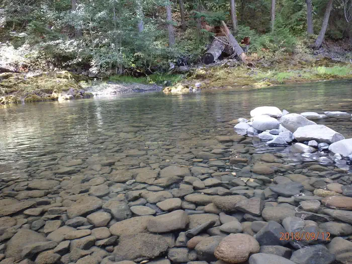 Little Naches Campground — Little Naches