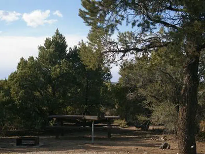 Ward Mtn. Campground (murray Summit) β WARD MTN. CAMPGROUND (MURRAY SUMMIT)
