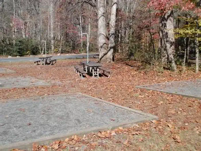 Smokemont Group Camp — Smokemont Group Campsite View 2