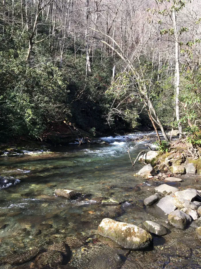 Smokemont Group Camp — Bradley Fork flowing next to the group camp