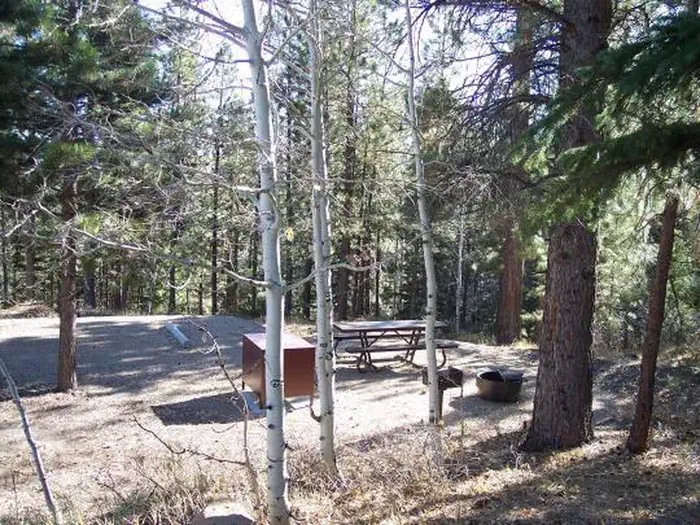 Posey Lake Campground — Campsite