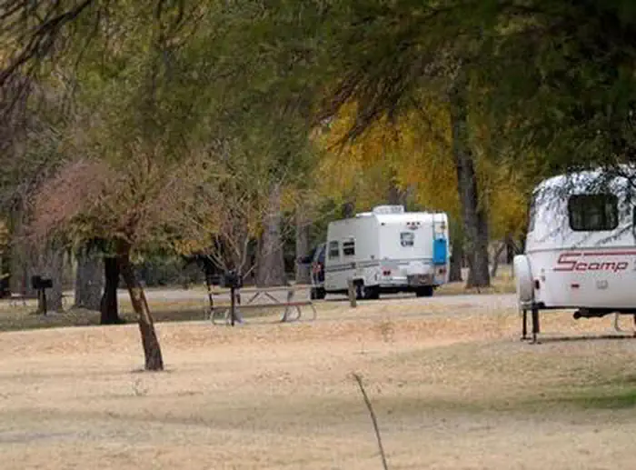 Cottonwood Campground - Big Bend National Park — Two travel trailers in campsite with trees lining the sites and roadway