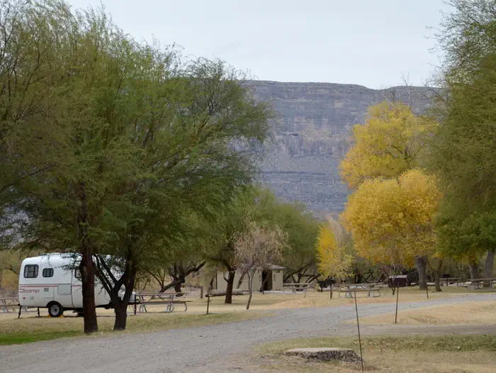 Cottonwood Campground - Big Bend National Park — Tree lined campground