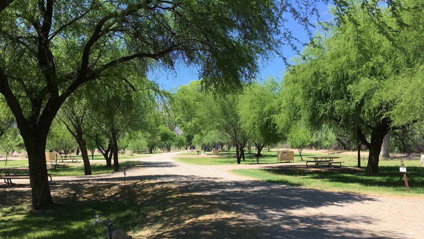 Cottonwood Campground - Big Bend National Park
