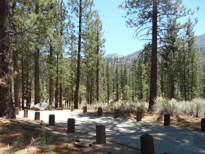 Heart Bar Campground — Heart Bar Campground