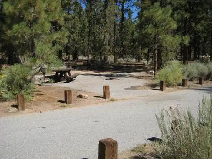 Heart Bar Campground — Heart Bar Campground Picnic Tables.