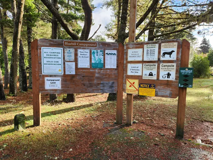 Bluebill Campground — Bluebill Information Board