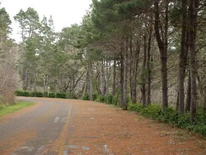 Bluebill Campground — Bluebill campground road entrance