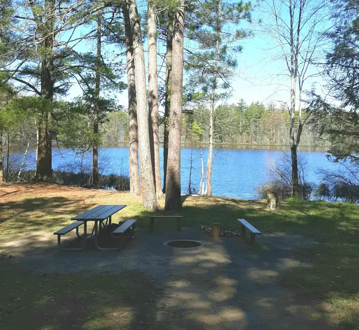 Tom's Lake Cabin β Tom's Lake Cabin - Fire Ring