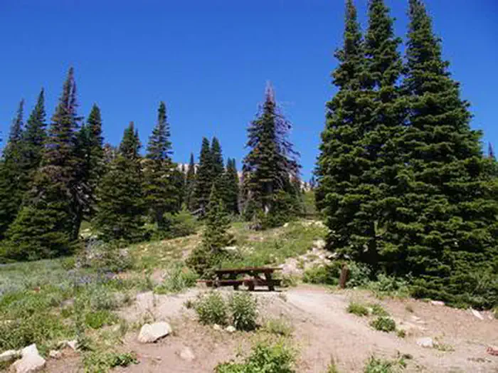 Lake Cleveland - East Side β LAKE CLEVELAND - EAST SIDE PICNIC AREA