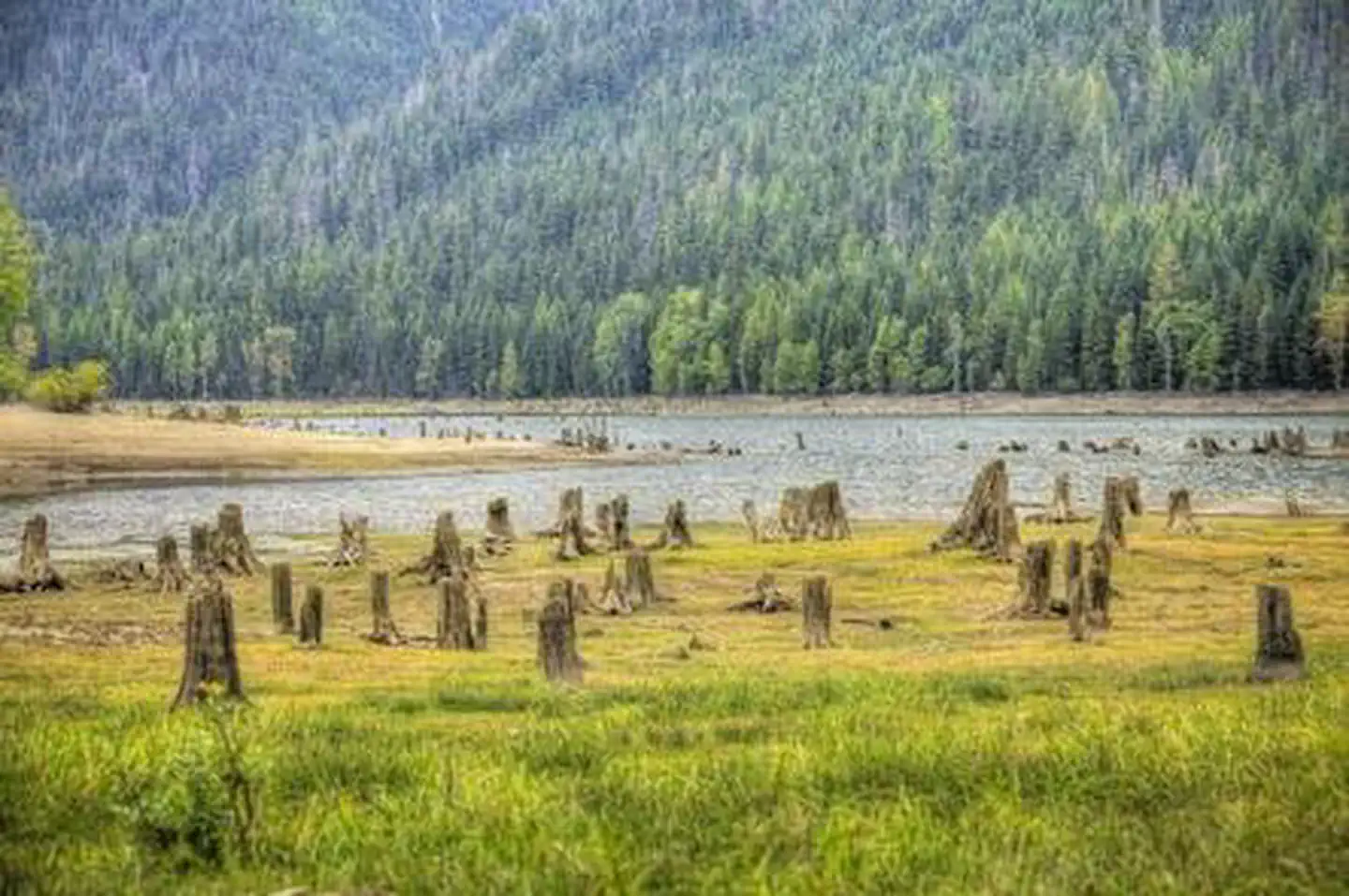 Bumping Lake Campground — Bumping Lake Campground