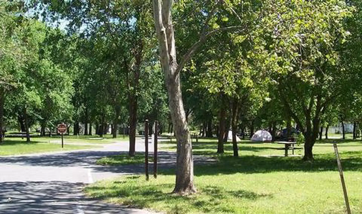 Sycamore Grove (red Bluff) Campground β Many sites are shaded