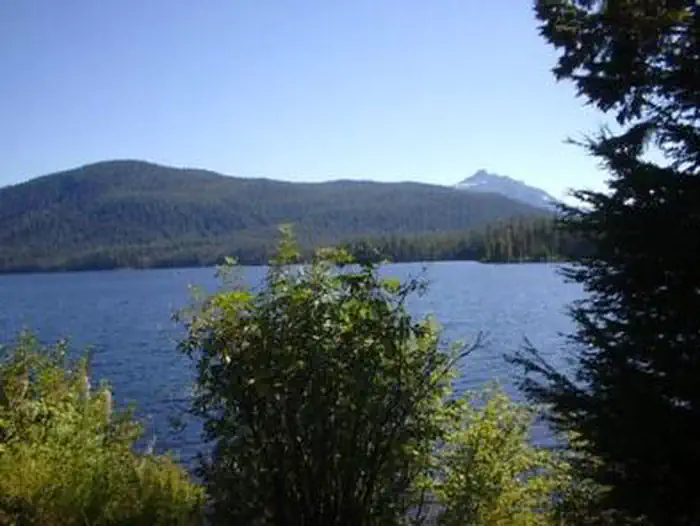 Lake Alexander Cabin β LAKE ALEXANDER CABIN Lake
