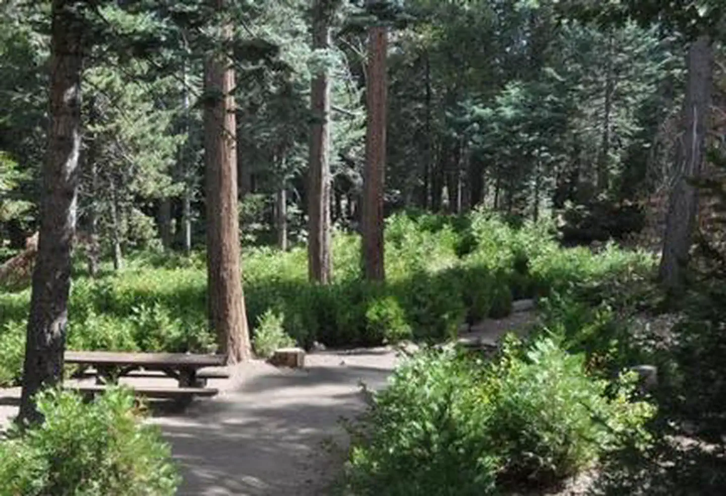 Dogwood — Beautiful view of Dogwood Campground