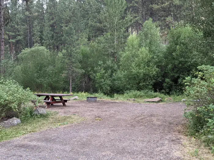 Lafferty — Green forest and shrubs surrounding campsite with picnic table and fire pit.