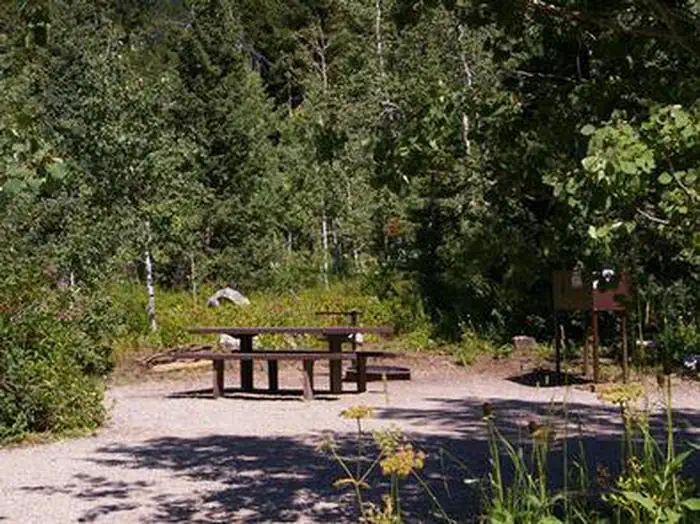 Teton Canyon — TETON CANYON