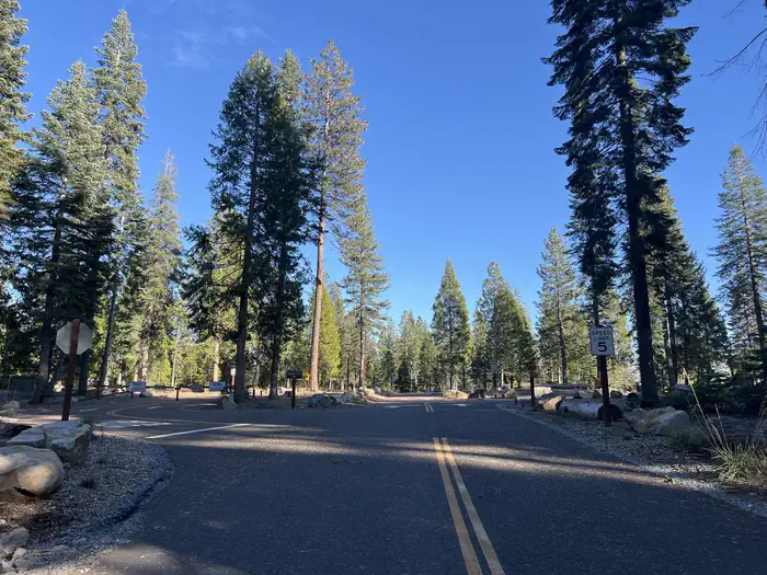 West Point Campground — A photo of West Point Campground