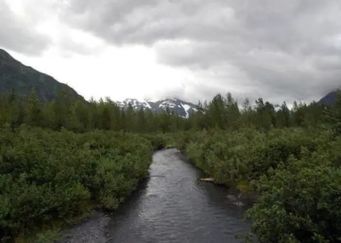 Williwaw Campground
