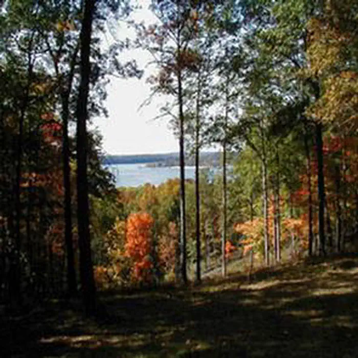 Hardin Ridge — HARDIN RIDGE