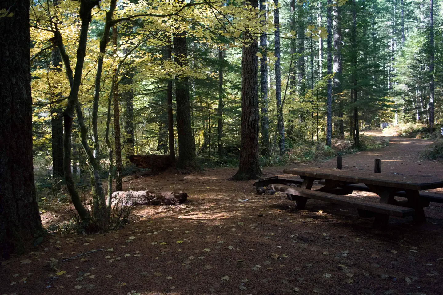 Lower Falls Campground — Lower Falls Campground in fall