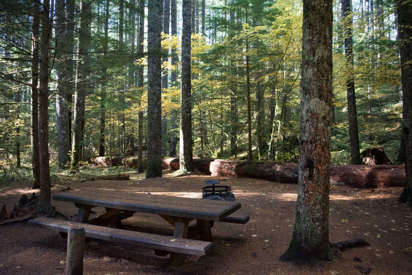 Lower Falls Campground — Lower Falls Campground site