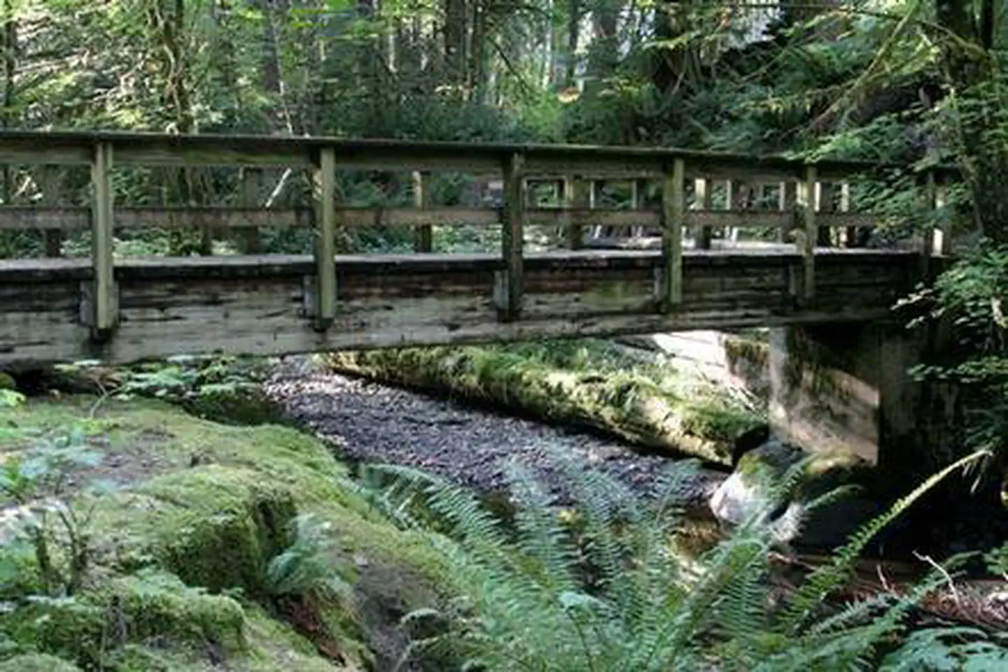 Verlot Campground — Verlot Campground