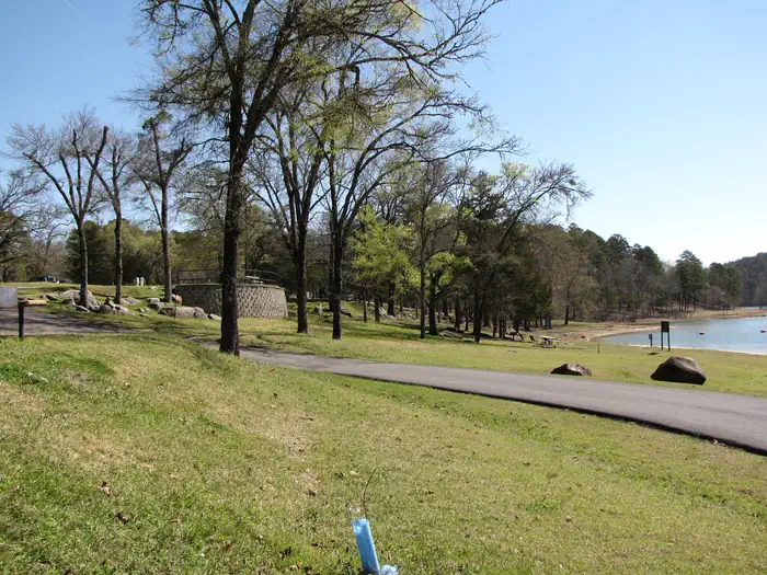 Cowhide Cove — Cowhide Cove