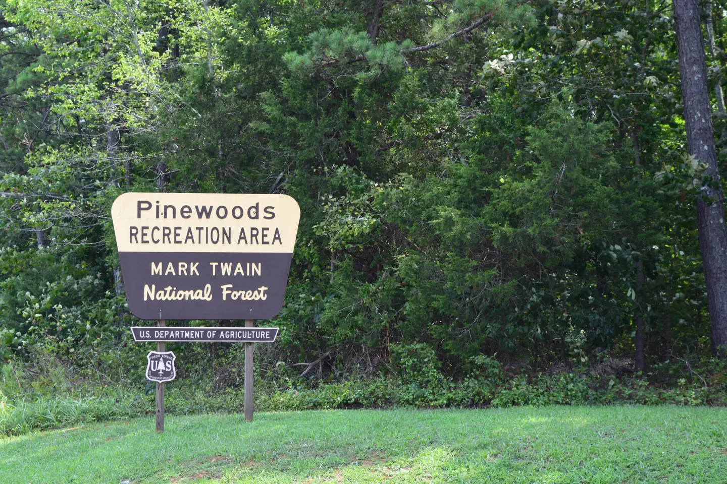 Pinewoods Lake Campground — PINEWOODS RECREATION AREA