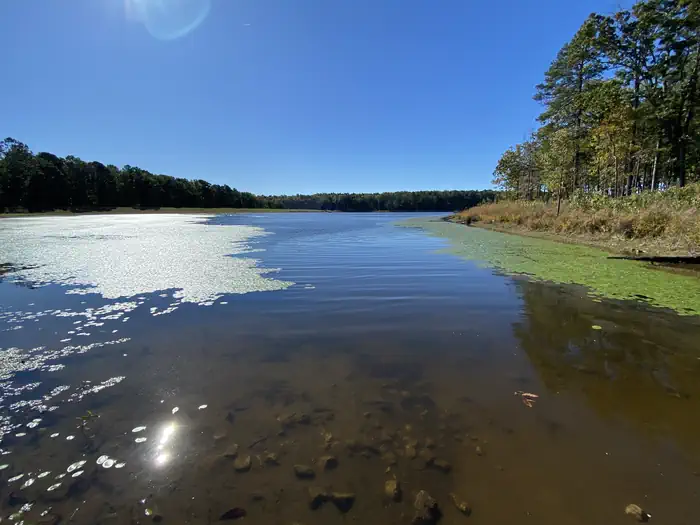 Pinewoods Lake Campground — A photo of Pinewoods Lake from the boat ramp at PINEWOODS LAKE REC AREA