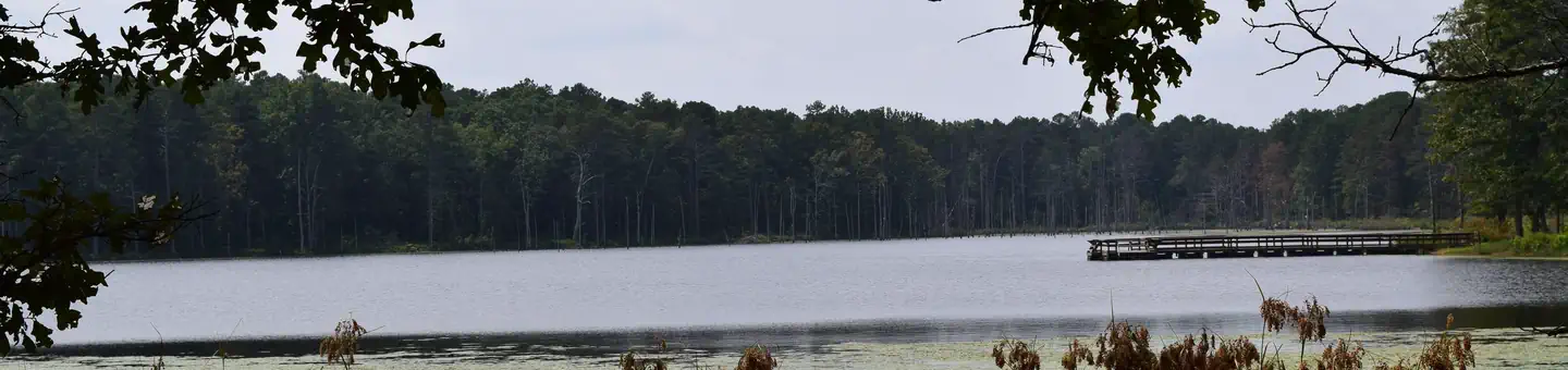 Pinewoods Lake Campground