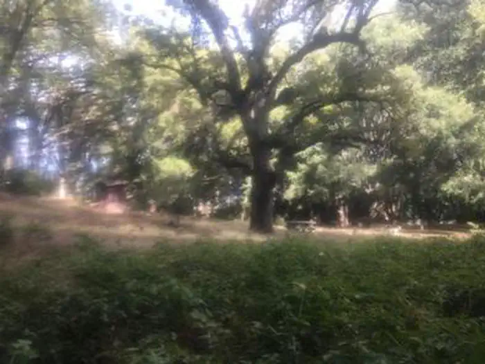 White Oaks Campground