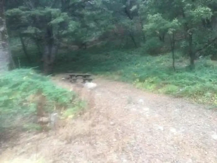 White Oaks Campground — WHITE OAKS CAMPGROUND