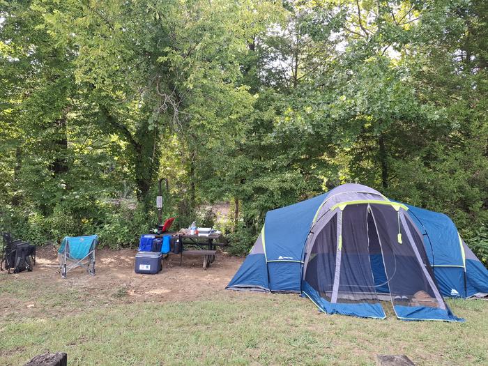 Ozark Campground — A blue tent sits on a campsite with a thick row of green trees behind the tent.