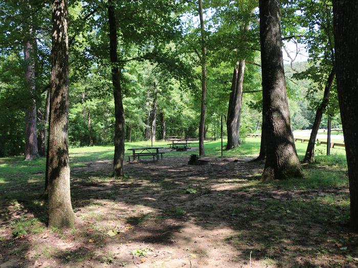 Ozark Campground — Camp sites marked by picnic tables sit under a shaded forest.
