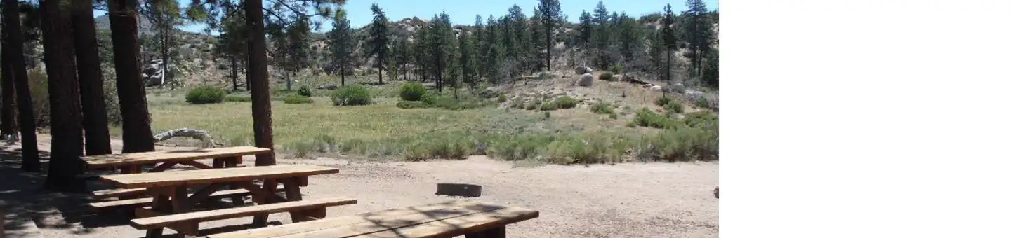 Ironwood Group Campground