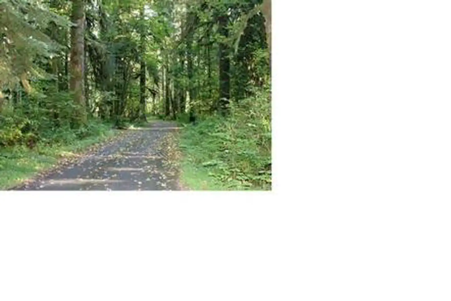 Turlo Campground — Turlo Campground