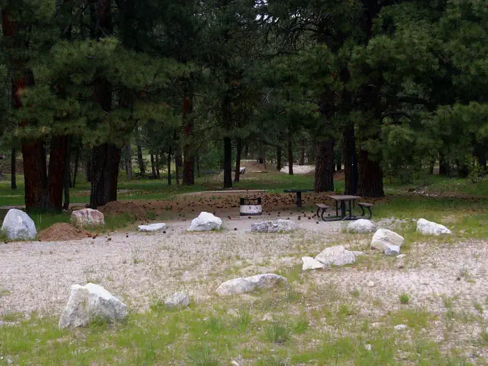 Elks Flat Campground — All campsites are surrounded by pine trees and have picnic tables, BBQ stands with gravel parking area and not far for hiking, biking, fishing, rafting and swimming.