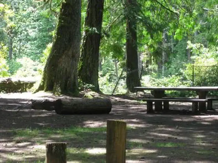 Fish Creek (or) — FISH CREEK (OR)4