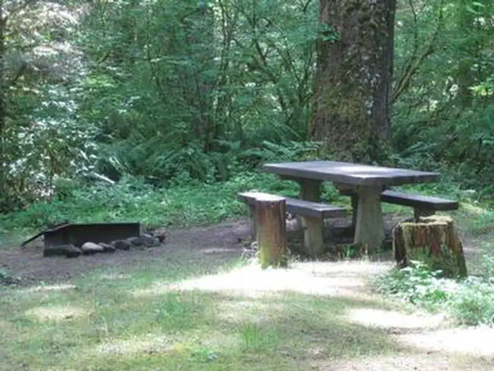 Fish Creek (or) — FISH CREEK (OR)