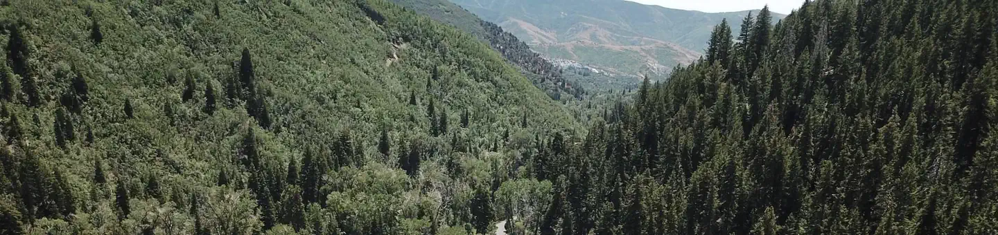 Bear Canyon