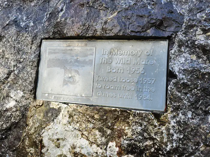 Wild Mare Horse Campground — Wild Mare Memorial Rock