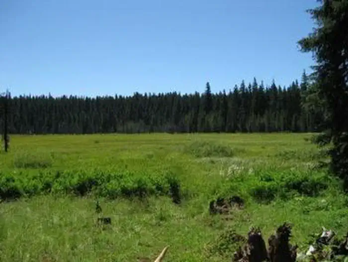 Joe Graham Horse Campground — JOE GRAHAM HORSE CAMPGROUND