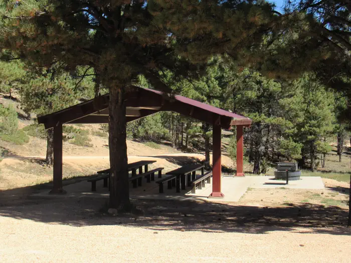 Kings Creek — Covered picnic tables near group site